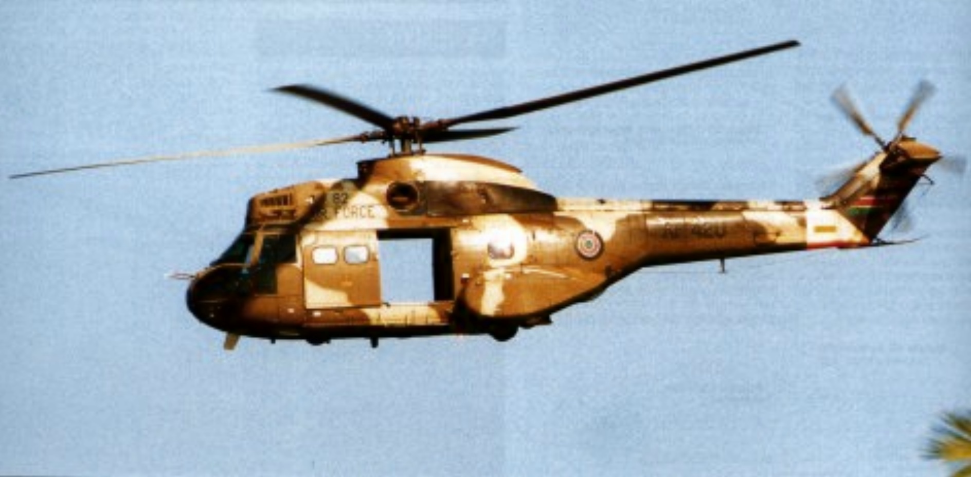 SA[1].330 Puma.JPG