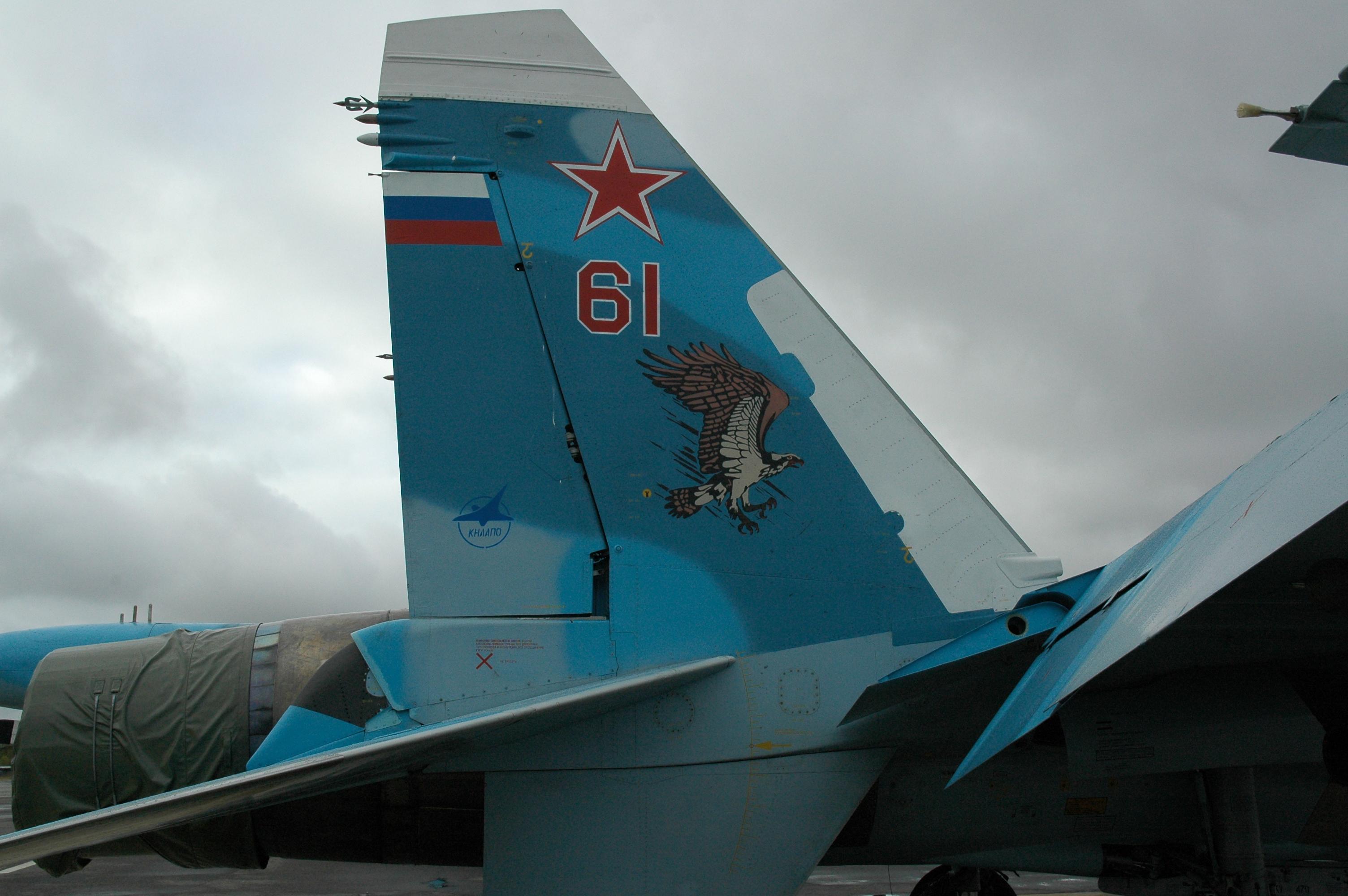 Су-33 ВИМО 200.jpg