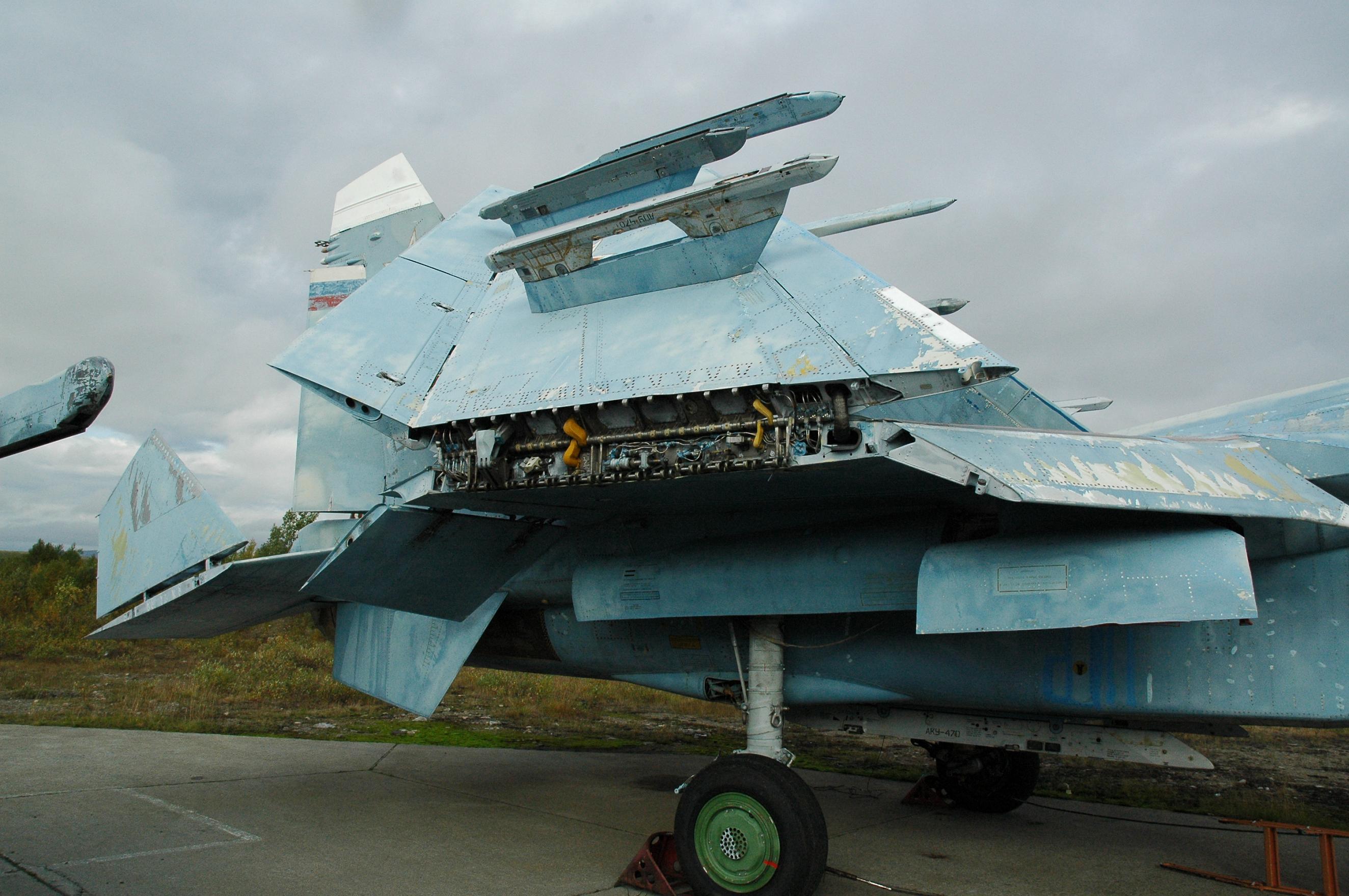 Су-33 ВИМО 040.jpg