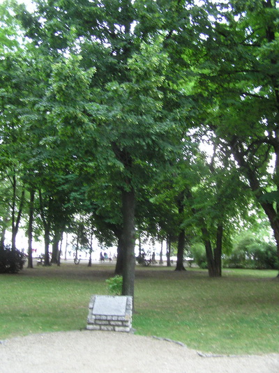 Дерева А.Леонова в Балатонфюреде 2008 г._resize.jpg