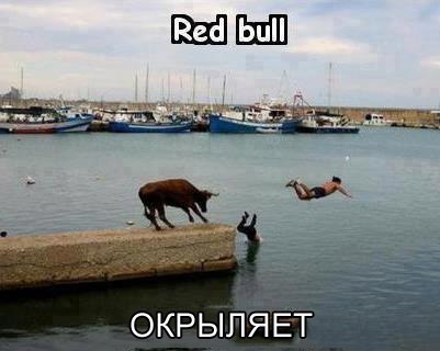 red bull.jpg