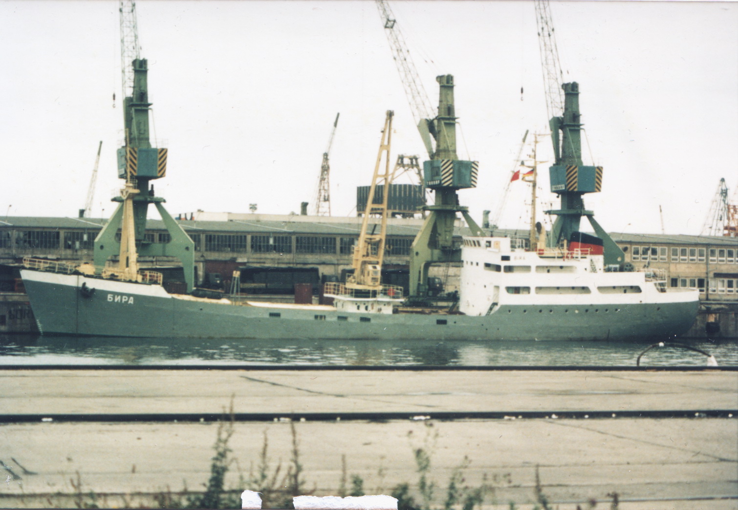 Rostock Bira 1992.jpg