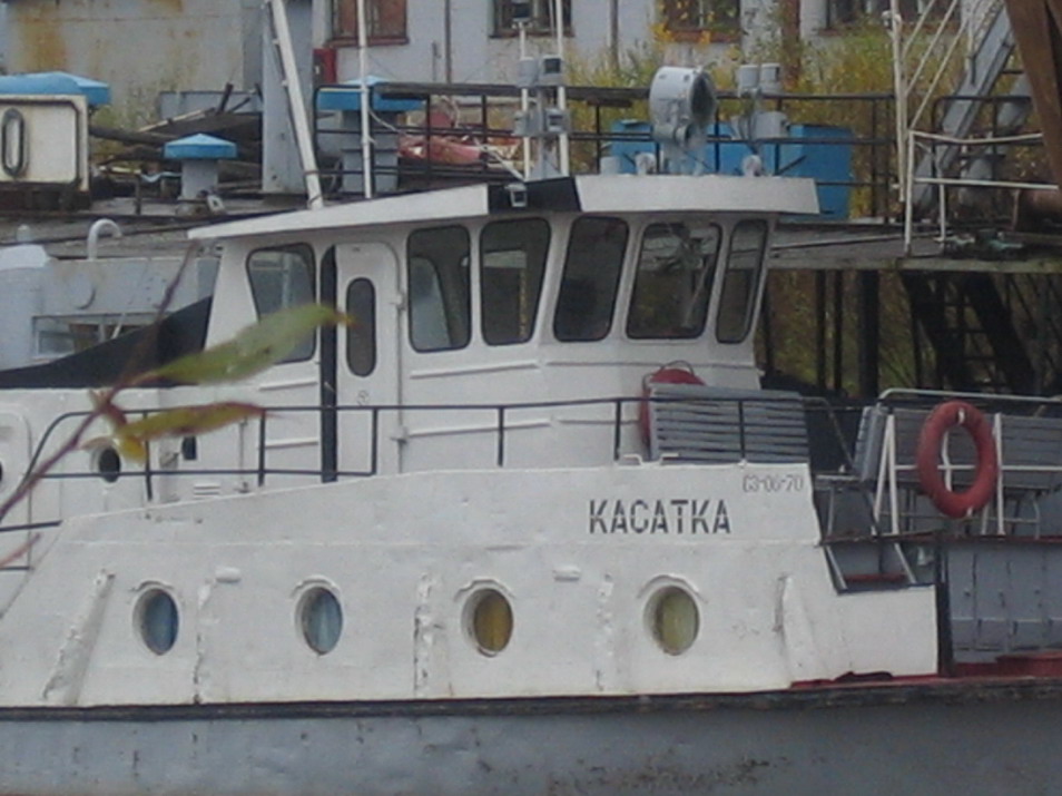 Kasatka (2).jpg
