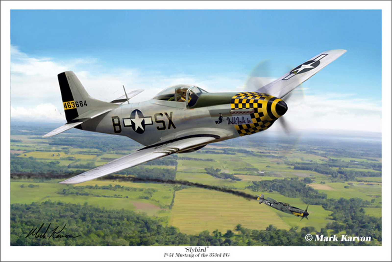 P_51_Mustang_of_the_353rd_FG_by_markkarvon.jpg