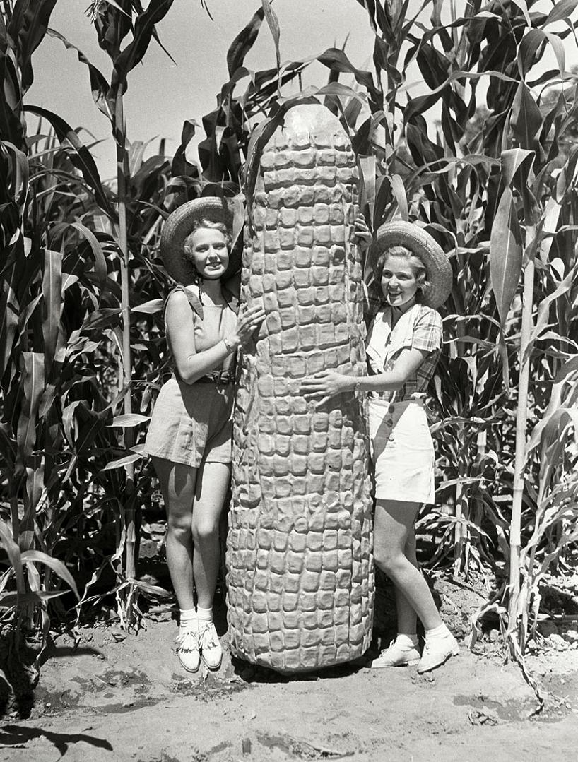 Southern California ladies showing their wares in Pomona__1936.jpg