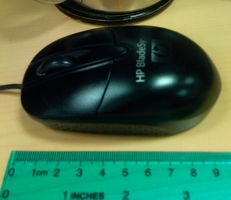 mouse.JPG