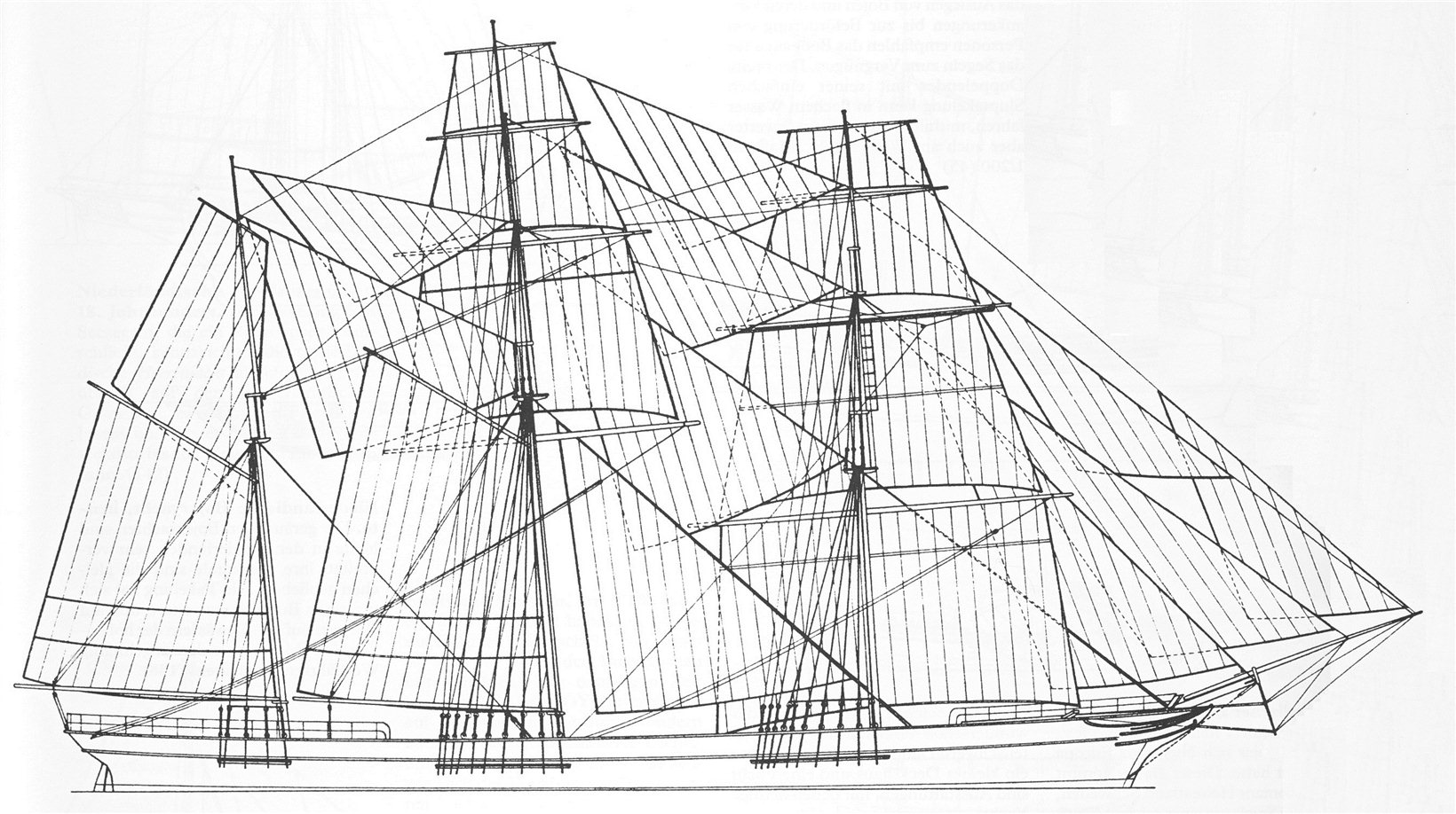 Ziba-1858.jpg