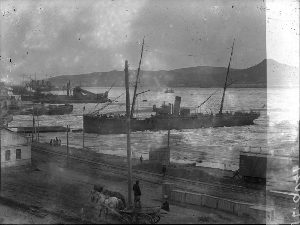 Vladivostok 7 03 1919.jpg