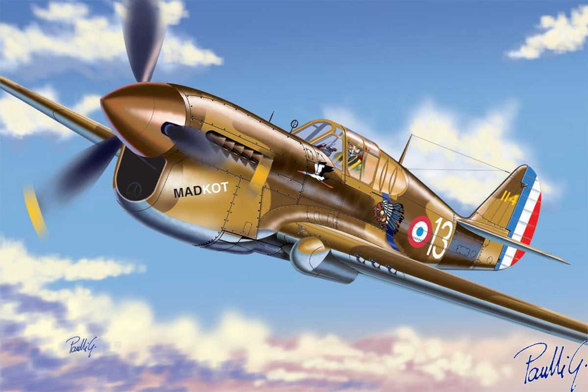 P-40 F.jpg